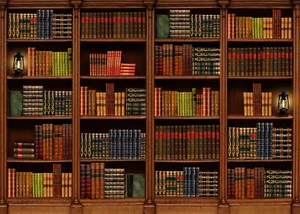 Retro Wood Bookshelf Books Backdrop Background Photo Photography Studio Props - Picture 1 of 10