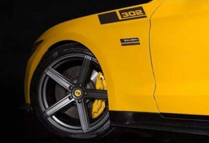 Upper Fender Saleen Stripes - 302 (2015-2024 Mustang) - Picture 1 of 7