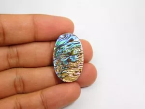 100% Natural Abalone Shell Gemstone Cabochon Loose For Jewelry 31 Cts. ME-5998 - Imagen 1 de 3