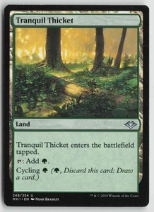 Tranquil Thicket U Modern Horizons 248 NM - Bild 1 von 2