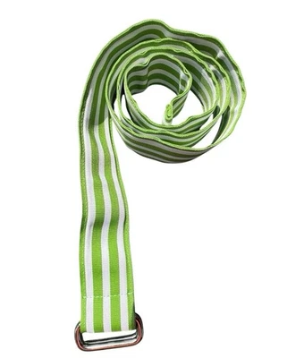 Lands End Y2K Tela Tejida Verde y Blanco Rayas Cinturón Anillo Metal Hebilla Grande Foto 1 de 4