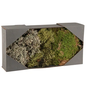 Deko Moos – echtes Grün Moos & Flechte für Gestecke Kränze Naturdeko 250g - Bild 1 von 4