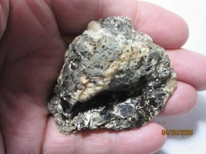 Biotite Natural Rough 2 1/4" Mineral Collectible BNRMC-305 - Picture 1 of 13