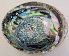 Abalone Shell Polished 6" Paua Rainbow LG Sea Green Blue Pink Beach House Smudge