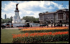 1950s Buckingham Palace London Vintage Postcard Natural Colour Series - Picture 1 of 2