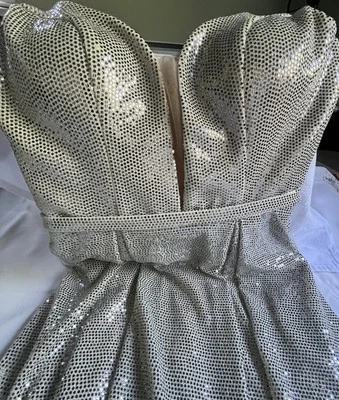 Archera 38 Long Formal Dress Silver Sparkle  Princess Prom Wedding Tall READ MOR - Image 1 of 4