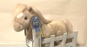 Breyer Akhal-Teke a Welsh Cob Caballo Peluche Show Stall Show Stoppers Serie - Imagen 1 de 9