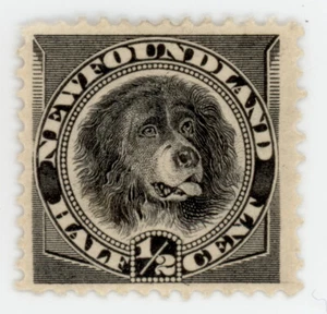 Newfoundland Scott #58 | Mint H | F/VF Fine/Very Fine - Picture 1 of 2