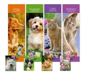 2026  Wall Slim Calendar New Year One Month View Home Calendar & Pocket Diary - Picture 1 of 7