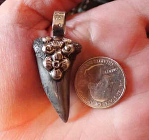 Fossil Mako Shark Tooth Pendant - Picture 1 of 3