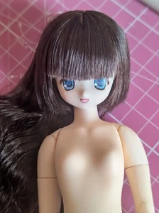 Bambola Koron Happy New Year 2020 Nuda Fashion Doll Pureneemo - Foto 1 di 4