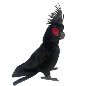 Juguete de peluche suave Hansa Black Palm Cacatúa 12"/32 cm juguete suave negro palma cacatúa - Imagen 1 de 3