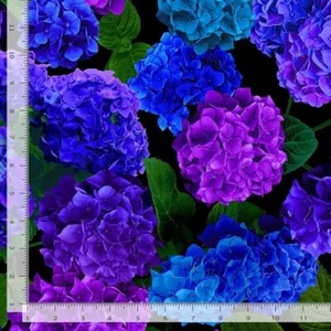 Flower Flowers Hydrangea Black Large CD3381 Timeless Durable Cotton Fabric - Picture 1 of 2