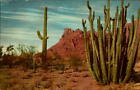 Vintage Postcard Union Oil Organ Pipe Cactus Arizona