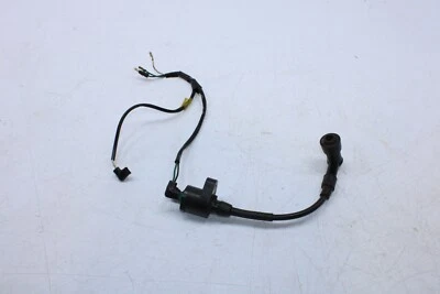 Honda Ruckus 50 2008 bobina de encendido tapa de bujía 30510-get-003 32101-gez-610 Foto 1 de 4