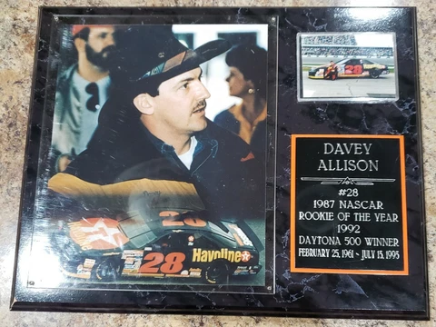 Nascar Davey Allison Havoline #28 Picture Plaque 15"x12" Cover