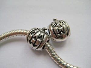 Novelty Charms for European Bracelets Assorted silver EP x 1 piece - Picture 1 of 3