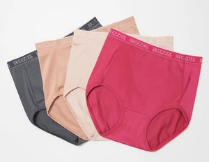 Breezies Women's Set of 4 Nylon Microfiber Brief Panty Solid Orchid Small Size - Picture 1 of 1