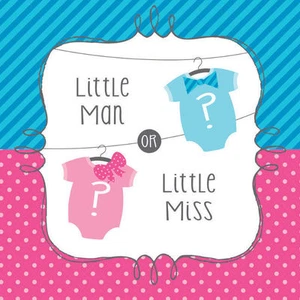 Bow or Bowtie Lunch Napkins (16) - Gender Reveal Baby Shower Supplies - Picture 1 of 1