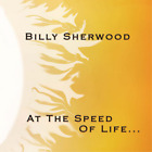 Billy Sherwood At the Speed of Life... (CD) Album