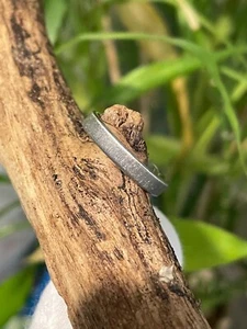 Beautiful Solid Titanium Ring, Low/Thin Flat profile Band, 3mm Width - Picture 1 of 9