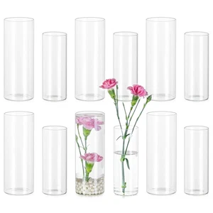 Vaso a cilindro in vetro sfuso: 12 pezzi vasi di fiori piccoli boccioli trasparenti per torta centrale... - Foto 1 di 7