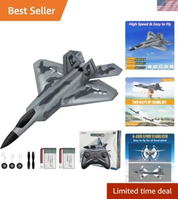 2-Channel F-22 RC Airplane with Stabilization: Durability for Young Pilots - Image 1 of 4