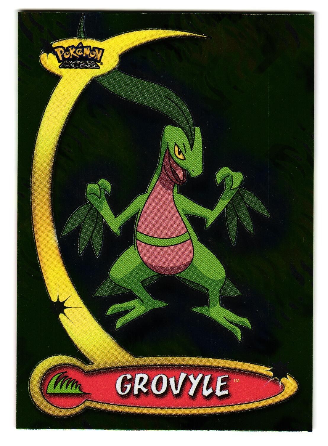 Grovyle #34 Pokemon Topps Advanced Challenge Holo Foil 2004 Near Mint NM