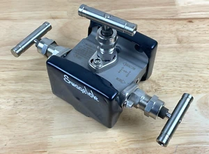 Swagelok SS-M3PTFL Edelstahl 3 Ventile Instrumentenverteiler - Bild 1 von 12