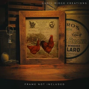 Vintage Chicken Poultry Art Print 8X10 Wall Decor Hen Rooster Rhode Island Reds - Picture 1 of 8