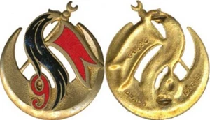 9° Groupe d’Escadrons de Spahis Algériens, dos lisse embouti, Drago 1424 (5431) - Imagen 1 de 1