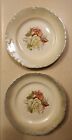 Lot Of  (2)  Thompson Francis Rose Floral 9" Plate Floral Dinner Plate