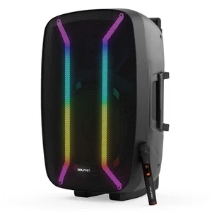 Dolphin 15" Pro Bluetooth Speaker w/ Deep Bass XLR Input for DJ's Events Party - Picture 1 of 7