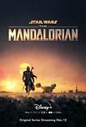 368785 The Mandalorian TV Pedro Pascal Carl Weathers Greef Karga Poster