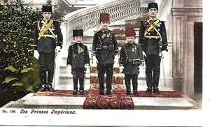 Die letzten Prinzen der osmanischen Türkei - Postkarte mit ungeteilter Rückseite vor 1907 - unbenutzt ss - Bild 1 von 2