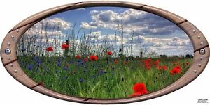 Field of Flowers Framed Oval Camper RV motor home mural graphic