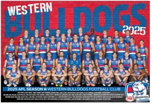 WESTERN BULLDOGS 2025 AFL FOOTBALL CHAMPION TEAM PLAYER POSTER,1 - Picture 1 of 1