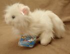 Webkinz White PERSIAN CAT New with Unused Code Tags Sealed Plush HM110 Ganz