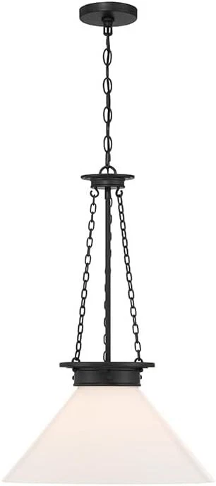 Colgante Myers negro mate Savoy House Lighting 7-1011-1-89 Foto 1 de 1