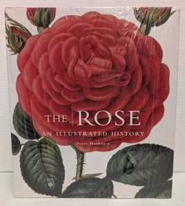 The Rose : An Illustrated History Hardcover Peter Harkness - Picture 1 of 6