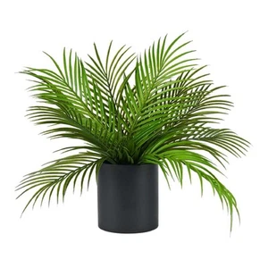 NEW Green Room Ombre Kwai In Ceramic Pot By Spotlight - Picture 1 of 1