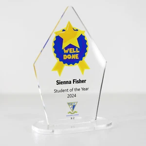 ACRYLIC COLOUR TROPHY AWARD CUSTOM DESIGNED FOR ACADEMIC, SCHOOL, STUDENT - Picture 1 of 3
