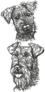 IRISH TERRIER Hunderasse personalisieren bestickt Fleece Stadiondecke Geschenk - Bild 1 von 2