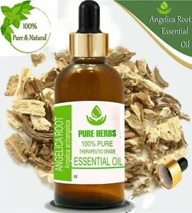 Pure Herbs Angelica Root 100% Pure & Natural Angelica archangelica Essential Oil - Picture 1 of 13