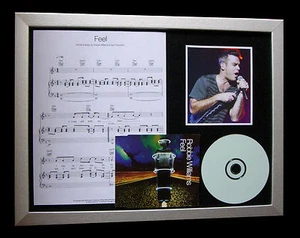 ROBBIE WILLIAMS Feel LTD MUSIC CD TOP QUALITY FRAMED DISPLAY+EXPRESS GLOBAL SHIP - Imagen 1 de 2