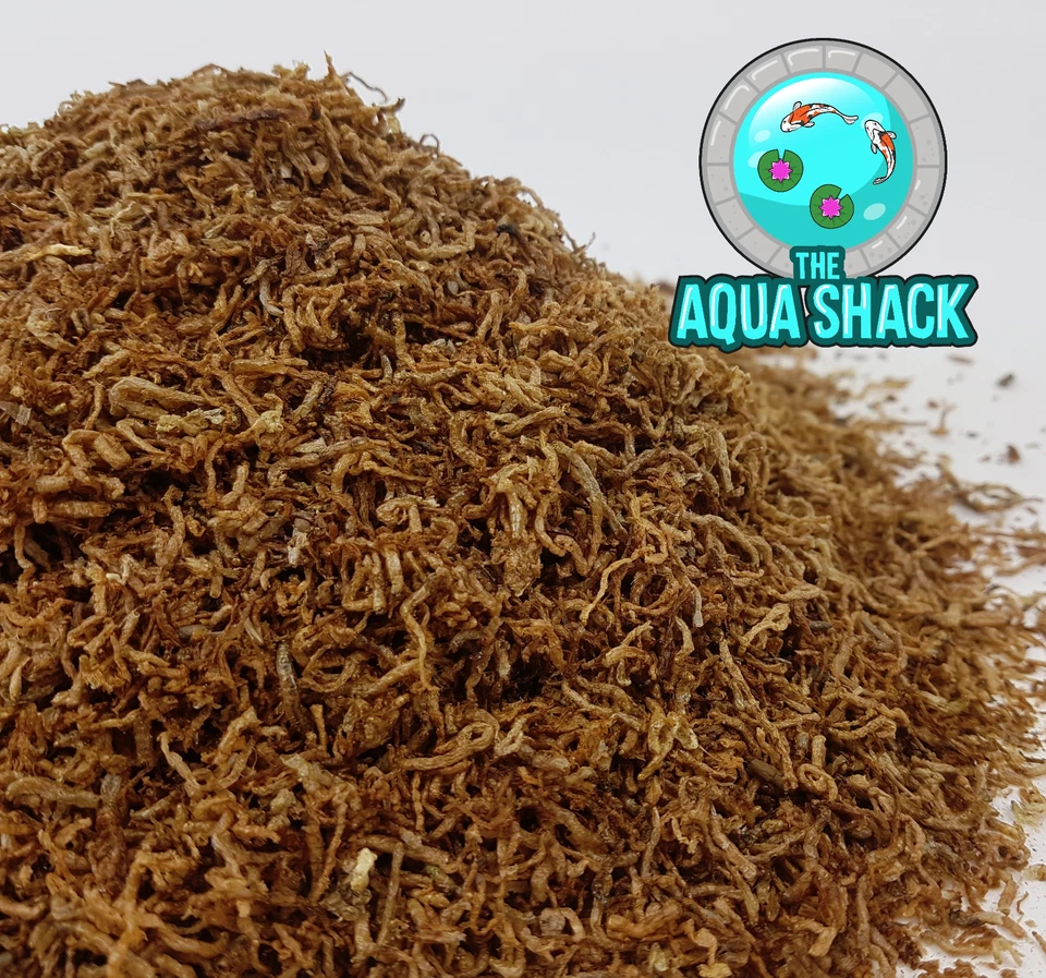 THE AQUA SHACK Freeze Dried Bloodworm Premium Fish Food - Tropical Coldwater Cichlid Goldfish