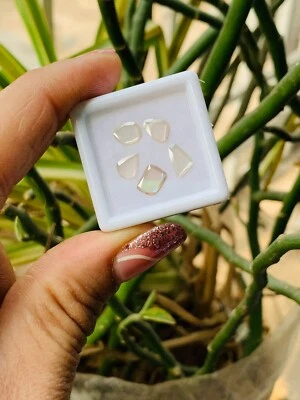 Set of 5 Loose Lab Grown Moissanite Slices - Unique Round Diamonds - Image 1 of 4