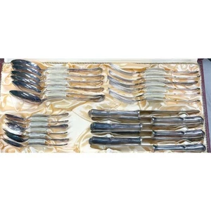 WENZ BESTECKE SET POSATE PLACCATO ARGENTO EUC IN SCATOLA. GERMANIA - Foto 1 di 9