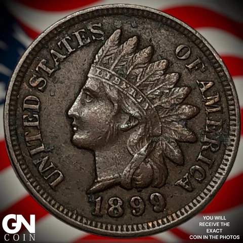 1899 Indian Head Cent Penny  Q7619 Cover