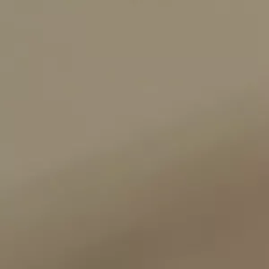 1/2 piel Porsche napa cuero de coche OFERTA mojave beige circo 2,50 m2 - Imagen 1 de 1